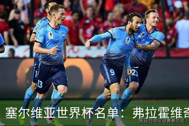 塞尔维亚世界杯名单：弗拉霍维奇领衔 古德利在列