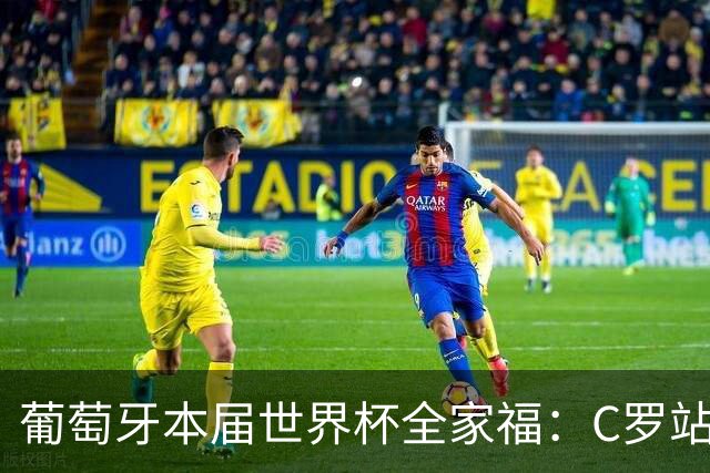 葡萄牙本届世界杯全家福：C罗站在后排C位，B席坐在第一排中间